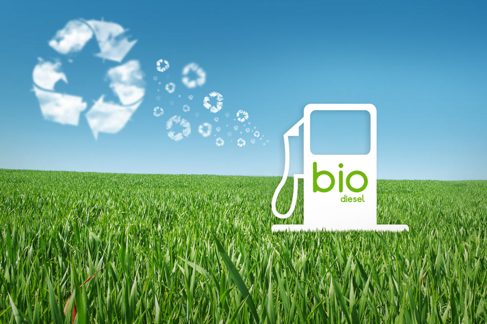 Из чего делают биотопливо - Промо-Карта